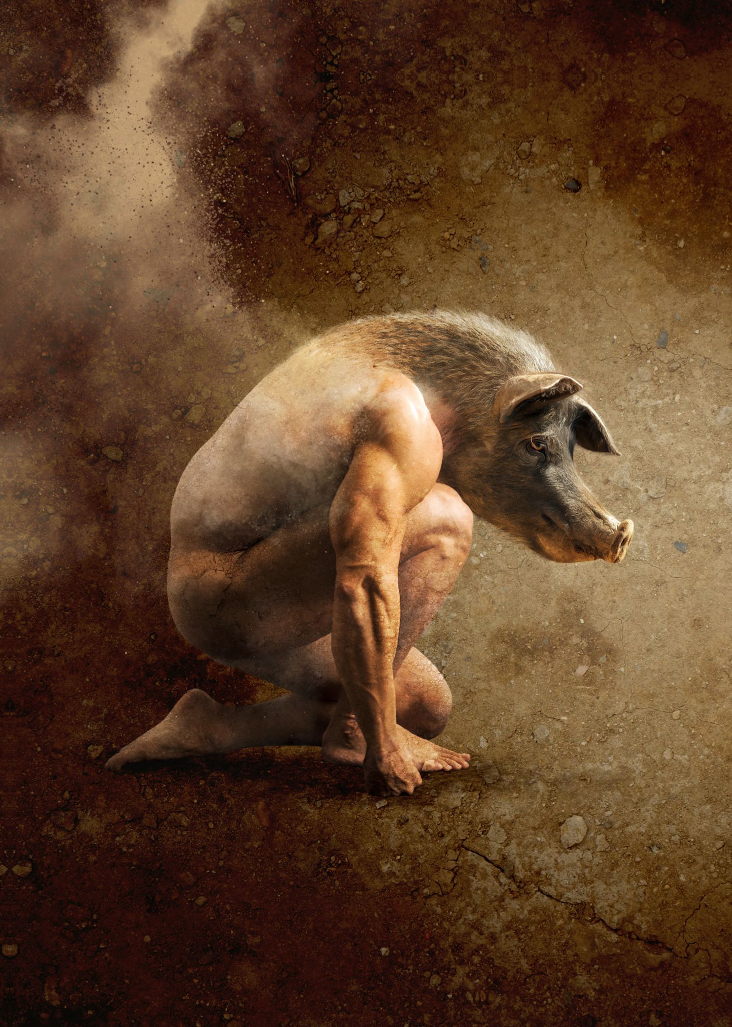 La Ferme des Animaux